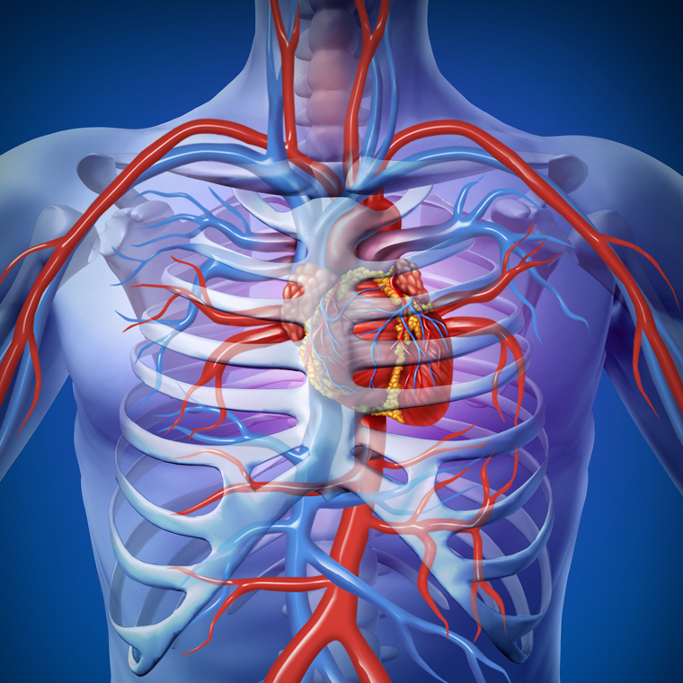 Post-cardiac Arrest Targeted Temperature Management | 2016-08-22 | AHC ...