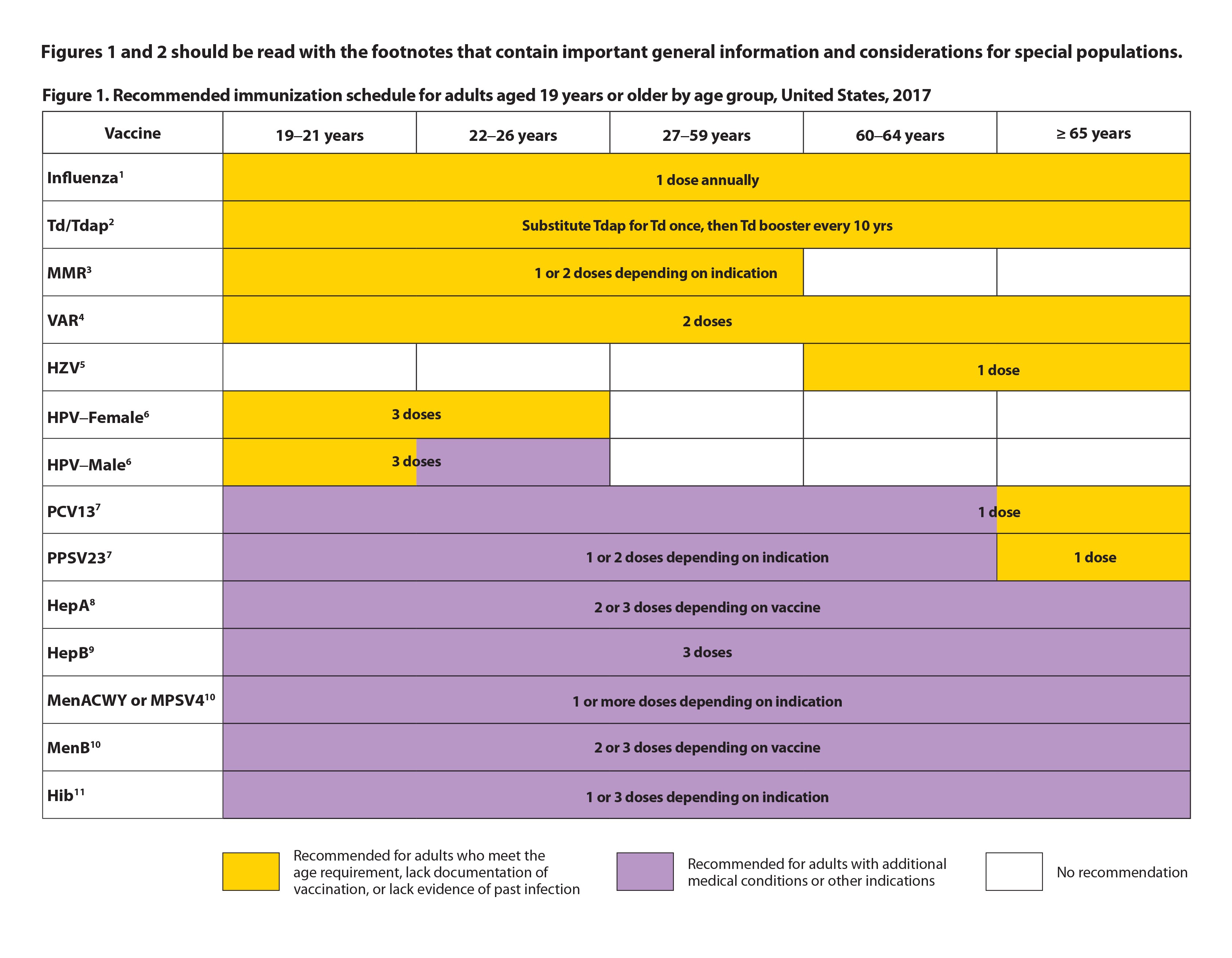 Adult Immunization Schedule Chart