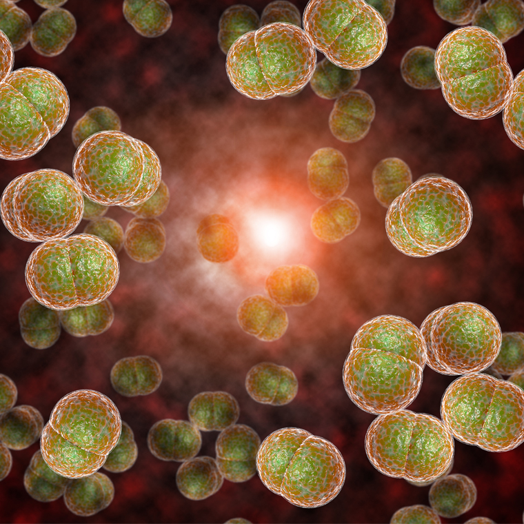 viral vs bacterial meningitis csf findings